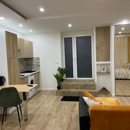 Appartement Luxe Jaune Сент-Етьєн Екстер'єр фото