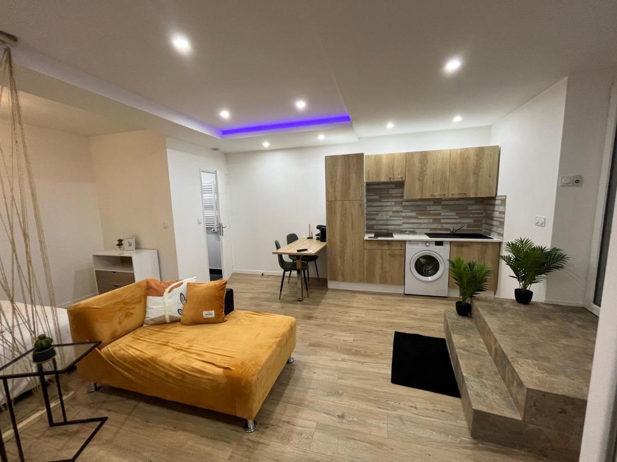 Appartement Luxe Jaune Сент-Етьєн Екстер'єр фото